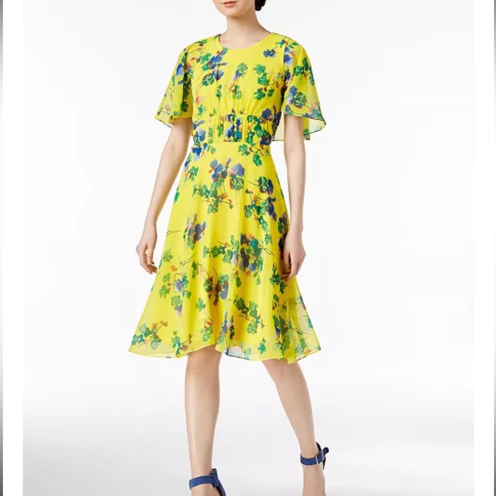 Calvin Klein Floral Chiffon Dress